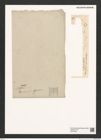Diatomeae indet. Zeichnungen Sammlung Grunow (NHMW-BOT-W0373936)